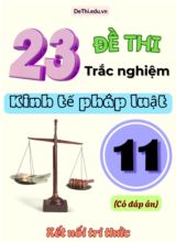 Tổng hợp 22 Đề thi trắc nghiệm GDKTPL Lớp 11 Kết Nối Tri Thức (Kèm đáp án)
